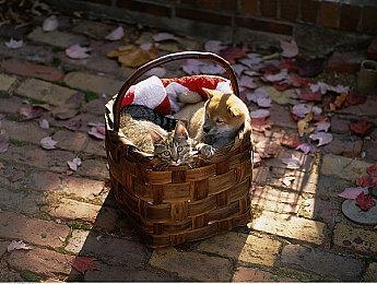 《心灵杀手2》上市预告发布 静待27号